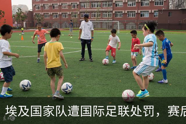埃及国家队遭国际足联处罚，赛后言论引发风波